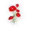 26" Watermelon Poppy Spray – Faux Meadow Flower Stem for Wreaths, Bouquets & Home Decor-FSP748-WM